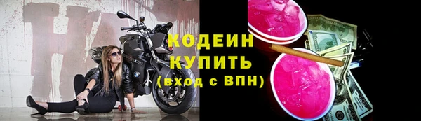 гидра Заречный