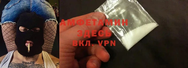 гашик Верея