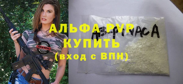 гашик Верея