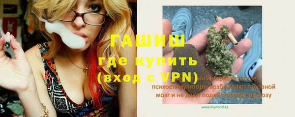 гашик Верея