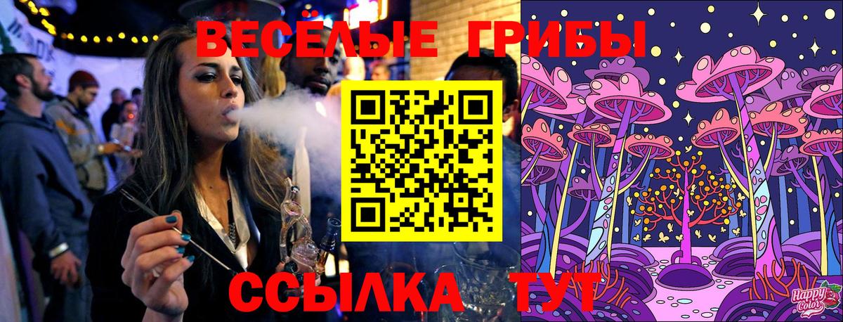 Северобайкальск  Псилоцибиновые грибы прущие грибы  Вход с VPN 
